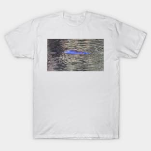 a platypus swimming near Geeveston Tasmania T-Shirt